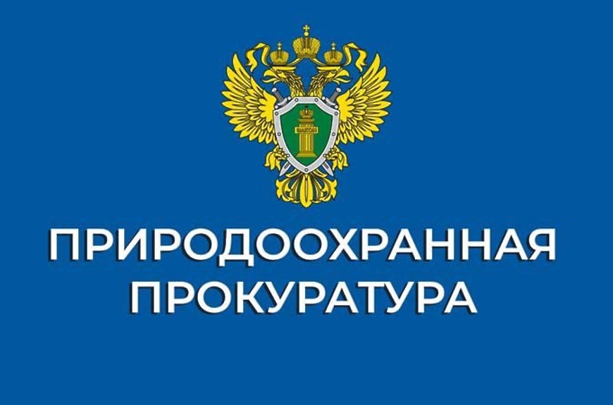 УЛЬЯНОВСКАЯ ПРИРОДООХРАННАЯ ПРОКУРАТУРА ИНФОРМИРУЕТ.